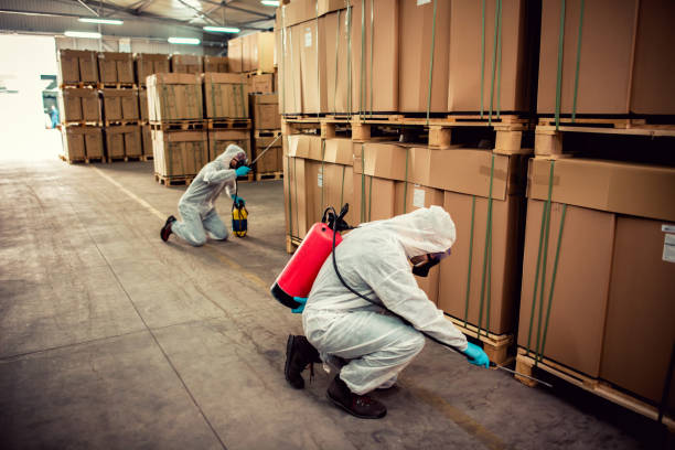 Best Emergency Pest Control  in Diand, MO