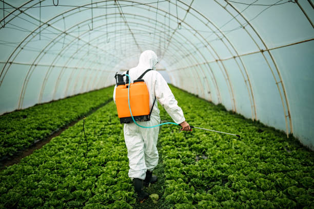 Best Best Pest Control Companies  in Diand, MO