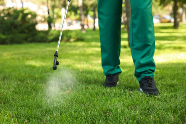 Best Mosquito Control Services  in Diand, MO