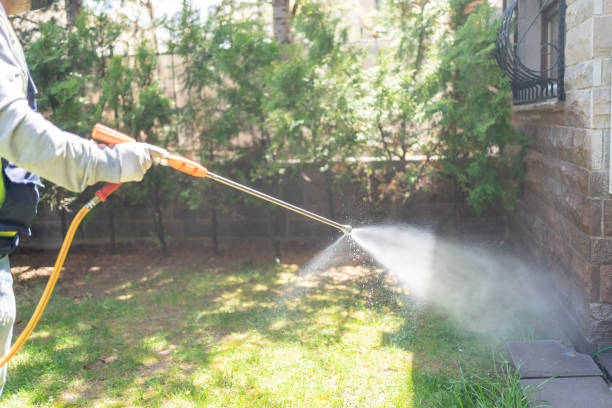 Best Mosquito Control Services  in Diand, MO