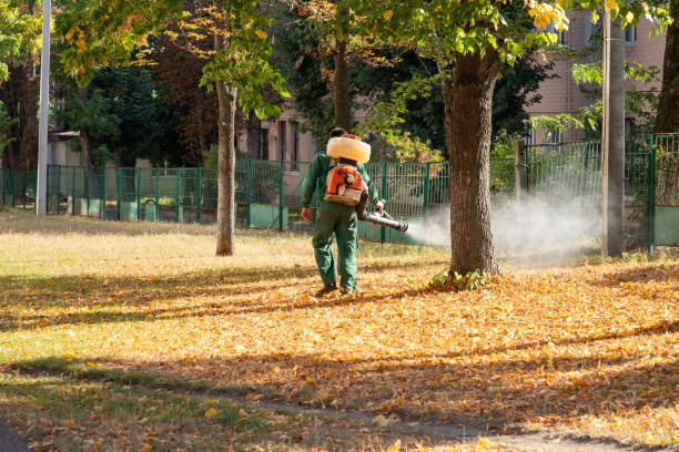 Bird Control in Diamond, MO