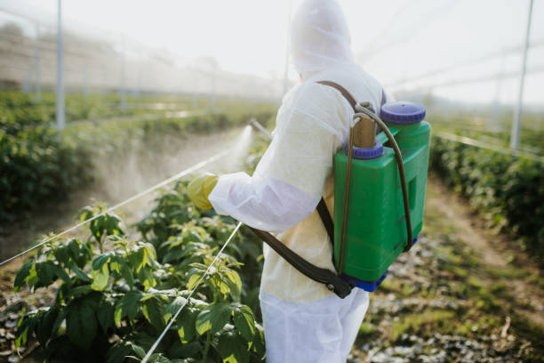 Wildlife Control Services in Diamond, MO